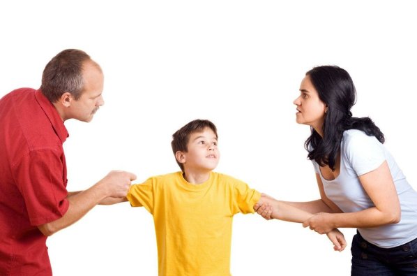 Ví dụ về tranh chấp quyền nuôi con